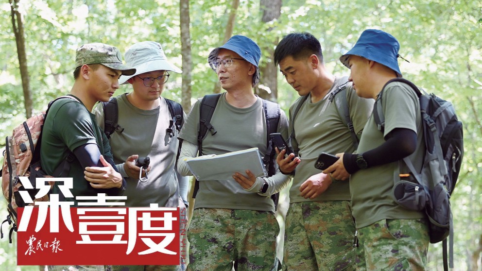 虎啸山林何以再现