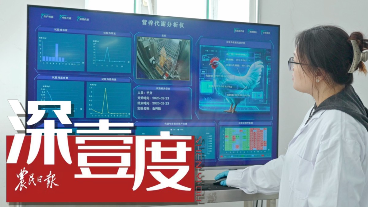 国产饲料软件如何实现节粮？