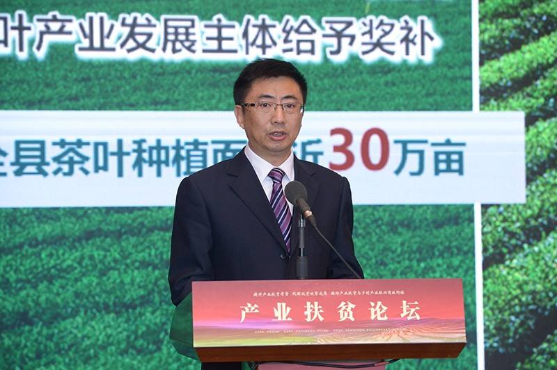 杨皓1.jpg
