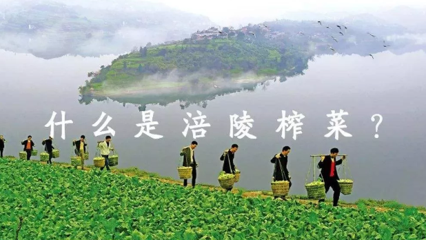 QQ截图20200108184902.png