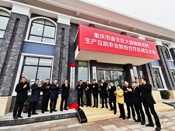 微信图片_20200122105536.jpg