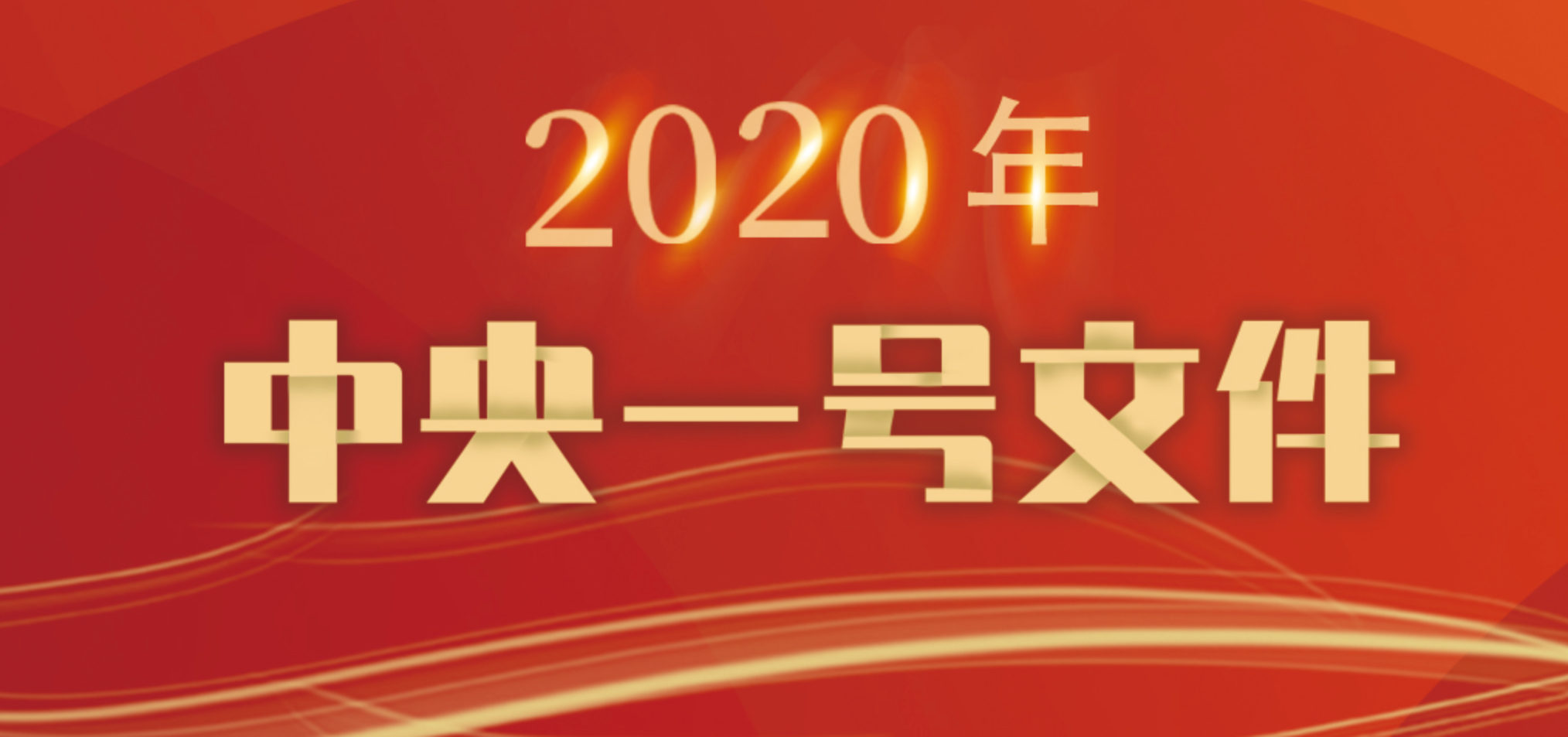 2020年中央一号文件发布