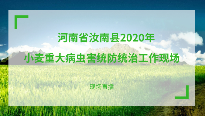 b2213c633eadfebc0c4849cf080f79d.png
