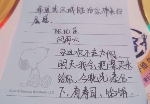 一位志愿者的武汉六十五天