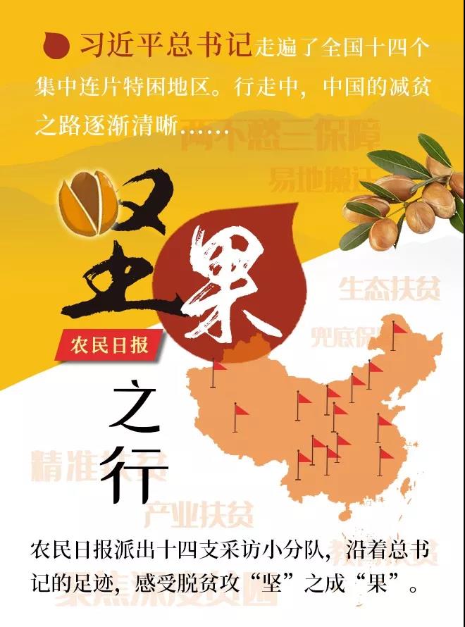 坚果之行.jpg