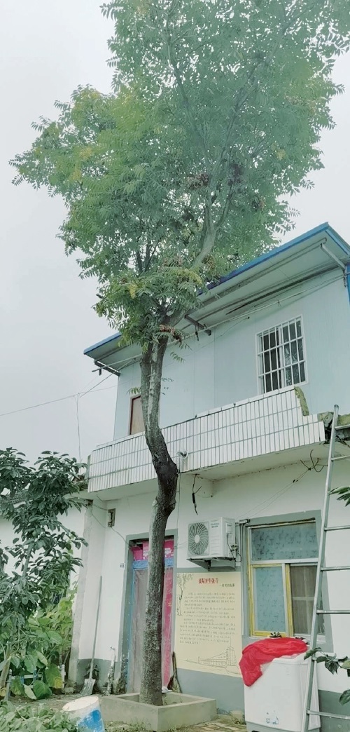 02.jpg