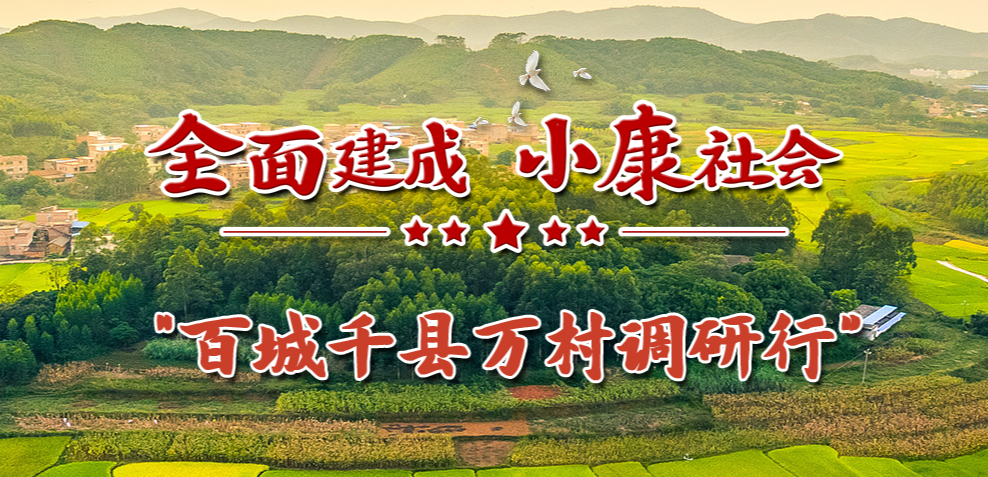 全面建成小康社会“百城千县万村调研行”