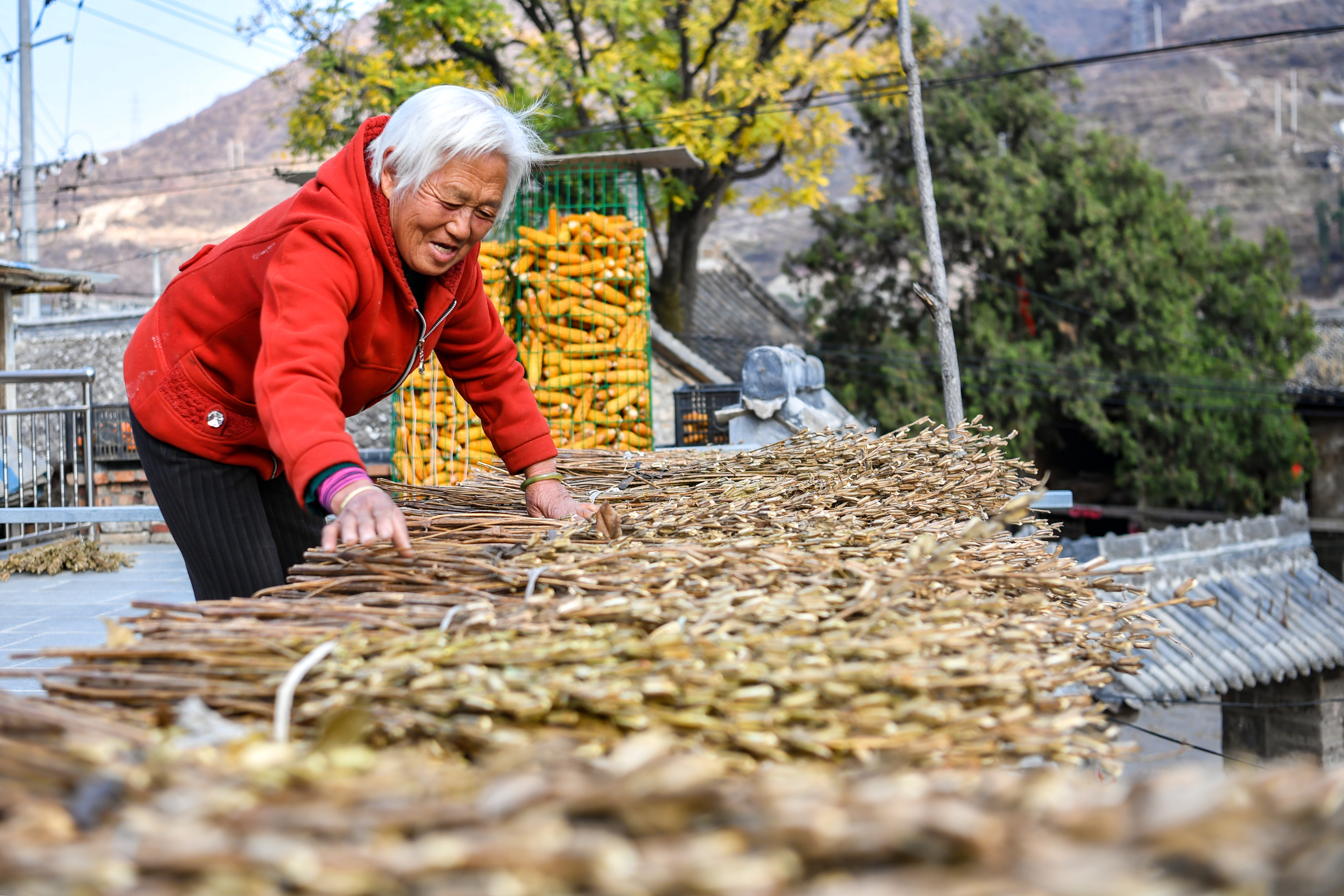 脱贫路3.JPG