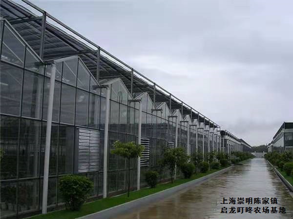 微信图片_20201208142304.jpg