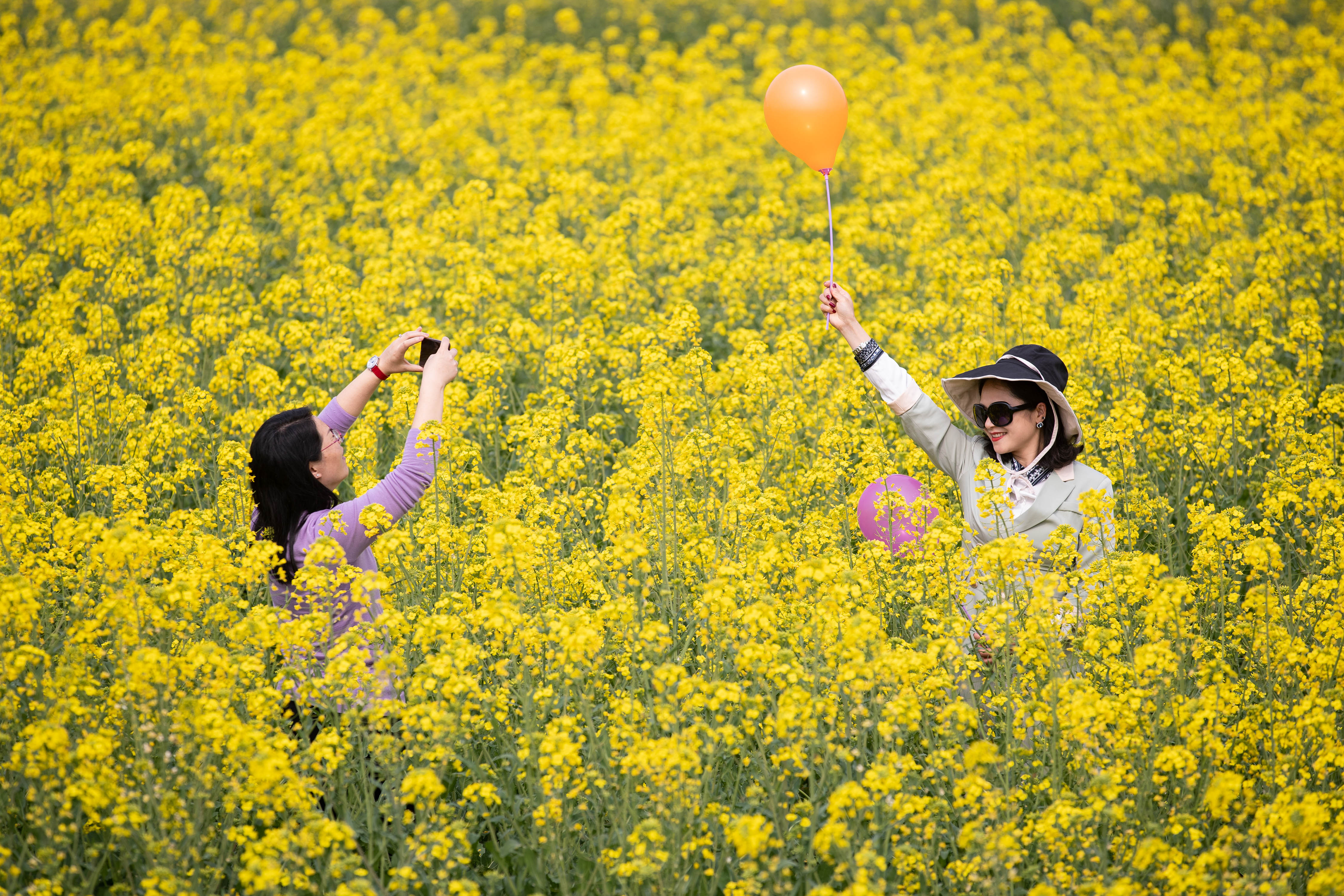 乡村油菜花1.JPG