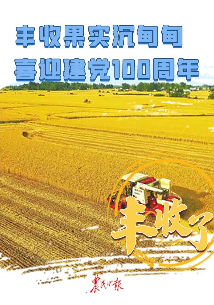 三夏7.jpg