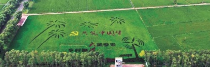 黑土地让“中国饭碗”盛满“中国粮”
