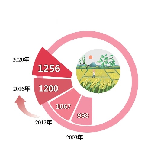 建好“吉土”粮仓　做强吉林大米