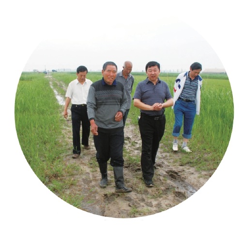 建好“吉土”粮仓　做强吉林大米