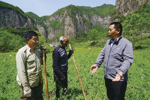 “晋”级名特优，向功能农业要高质量