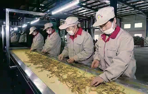 “晋”级名特优，向功能农业要高质量