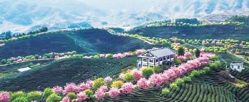 闽台农业交流合作硕果累累