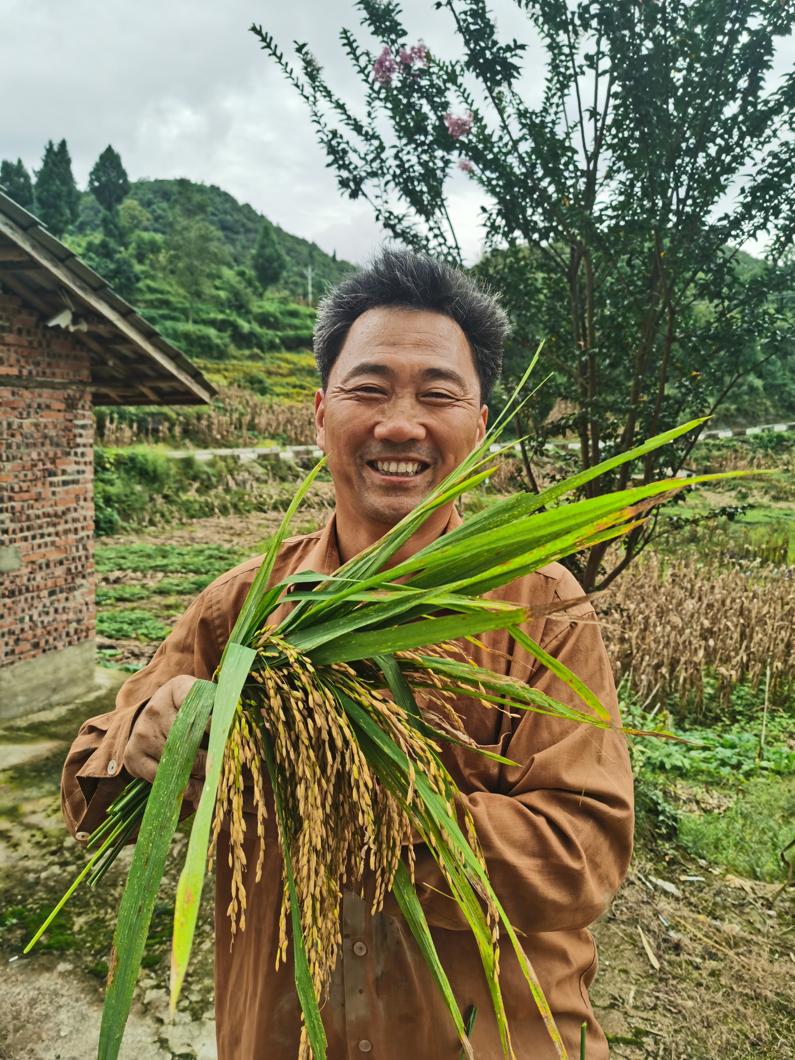 汤巴丘3.jpg