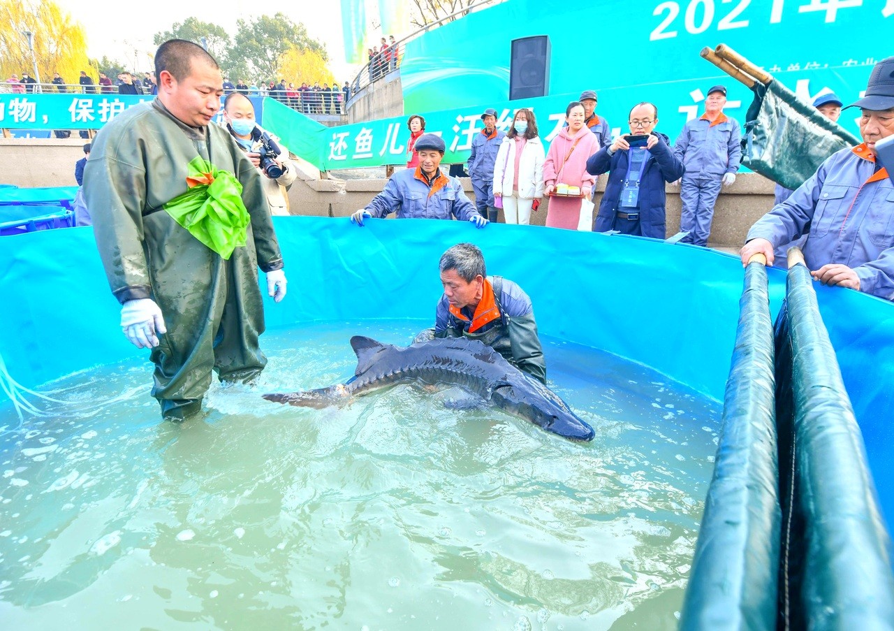微信图片_20211210141822.jpg