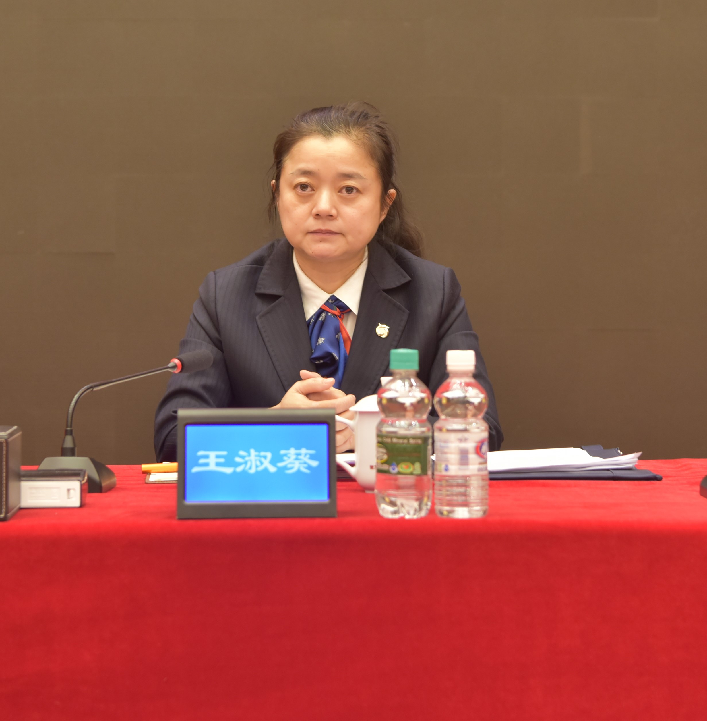 黑龙江农担公司党委副书记、总经理-王淑葵.jpg