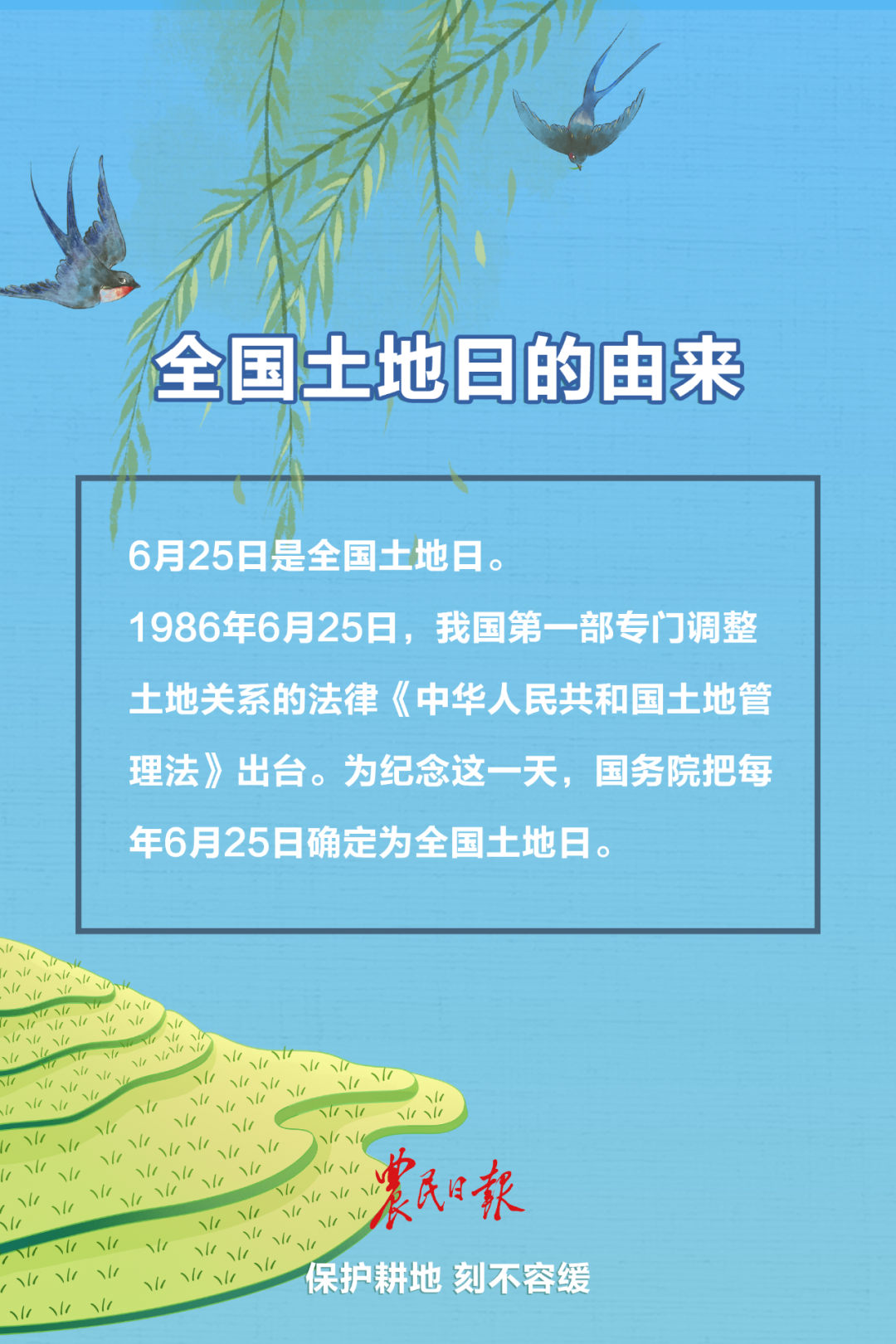 02.png