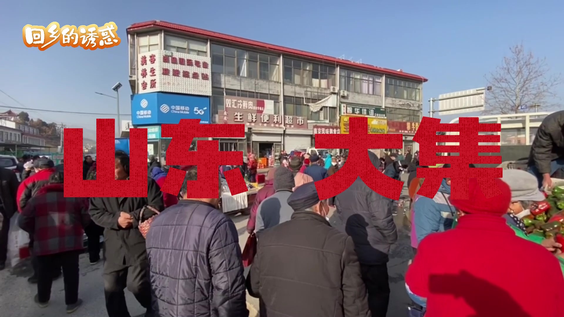 山东大集
