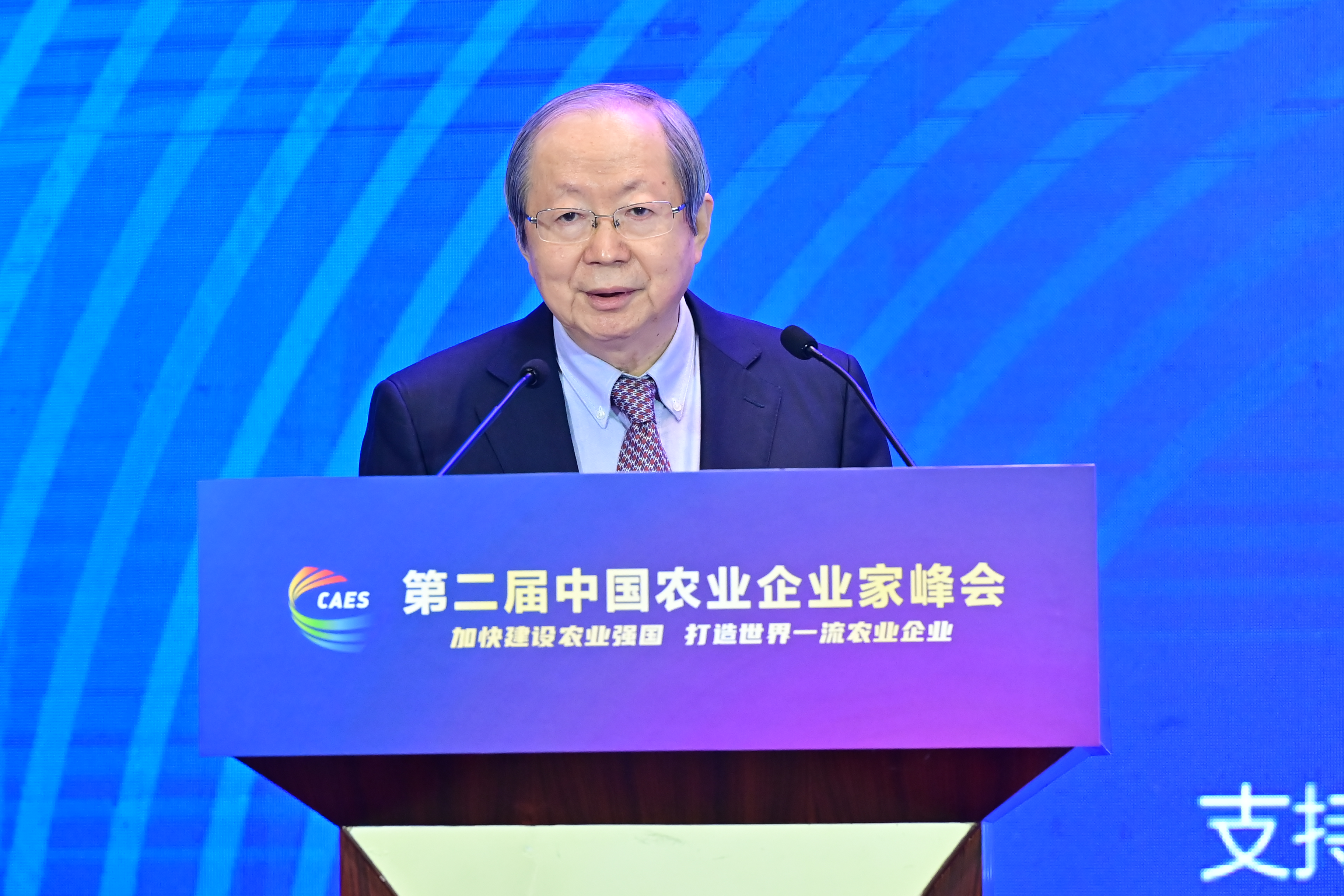 中国经济体制改革研究会会长、国家发改委原副主任彭森发言