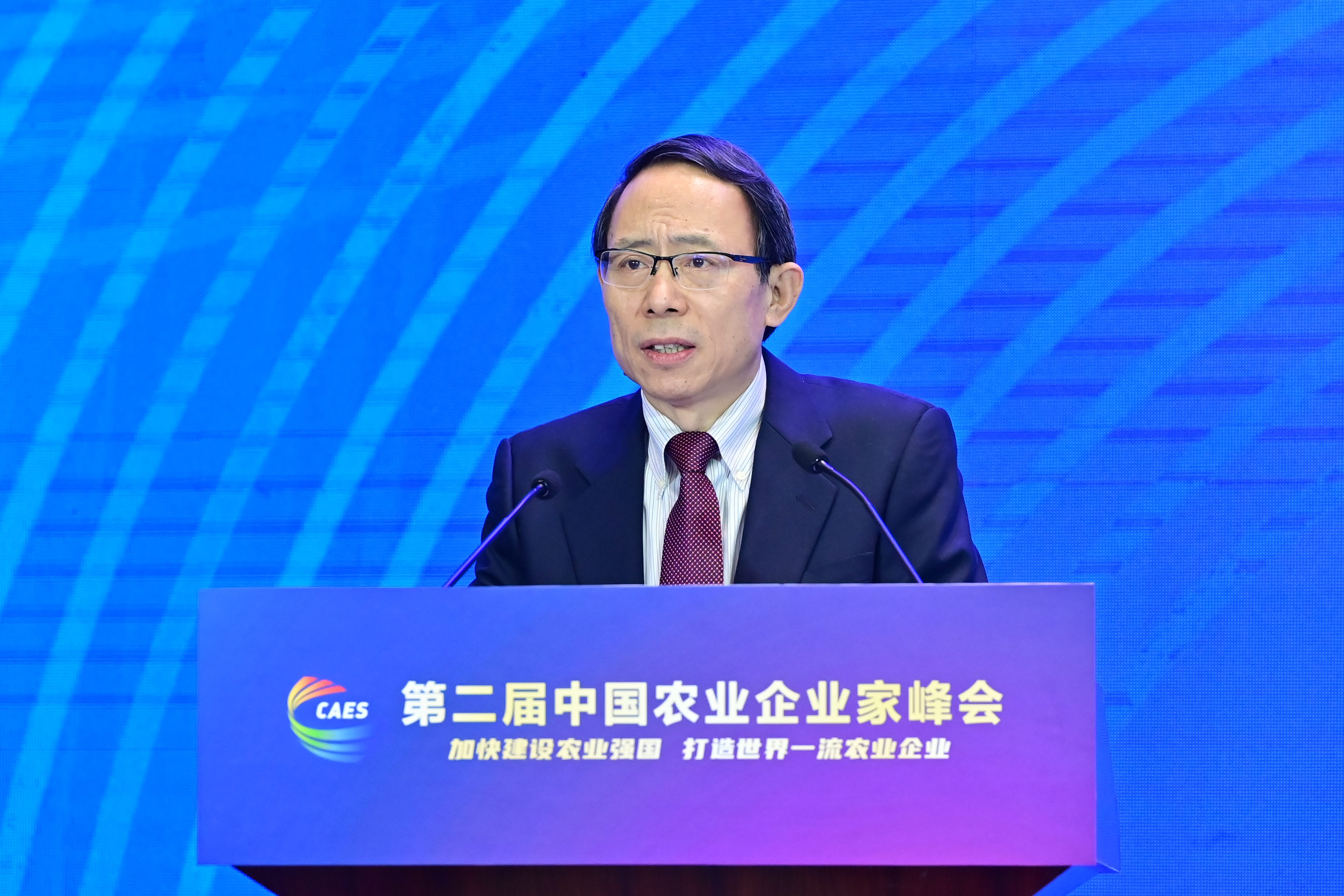 农业农村部农垦局局长左常升发言