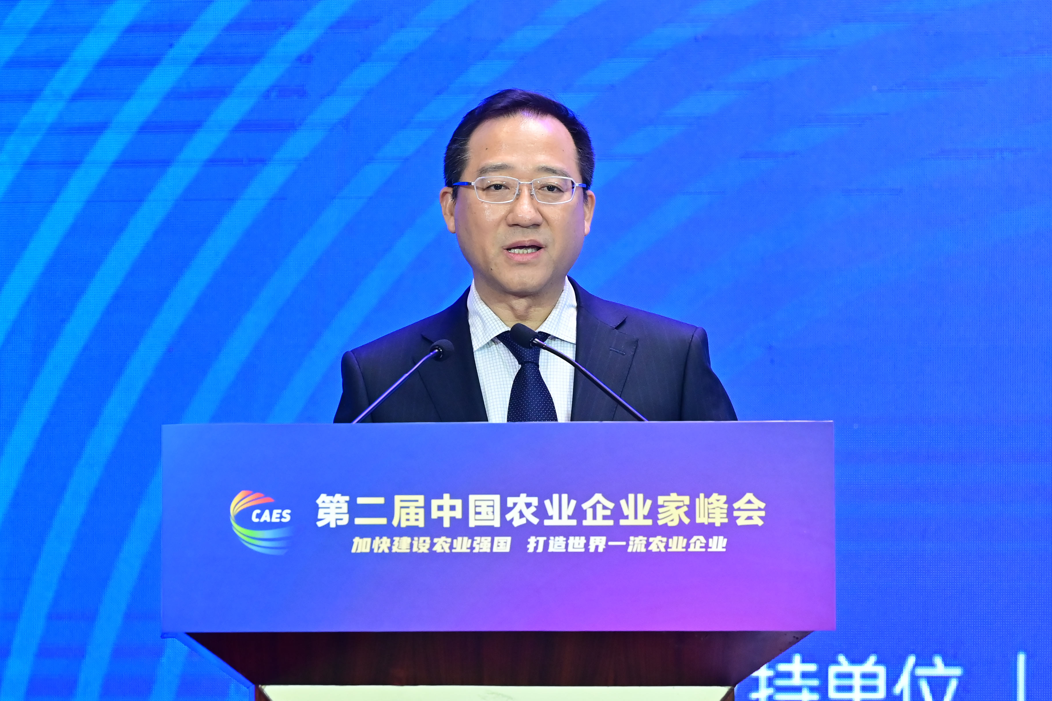 中华保险集团党委书记高兴华发言