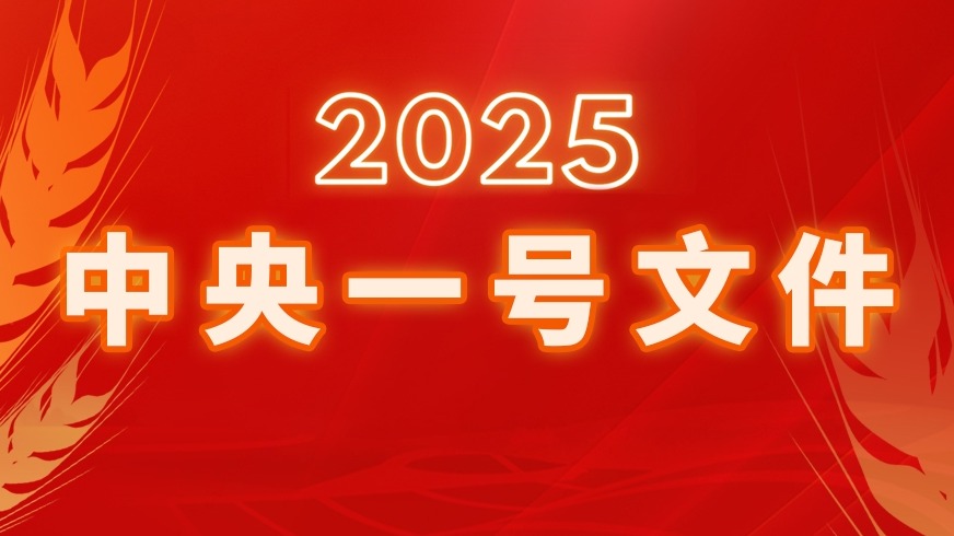 2025中央一号文件