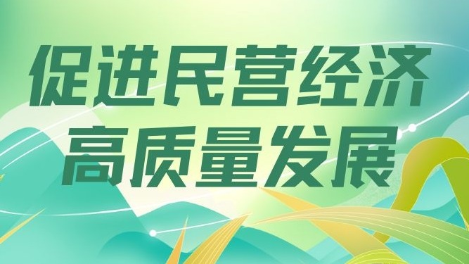 促进民营经济高质量发展