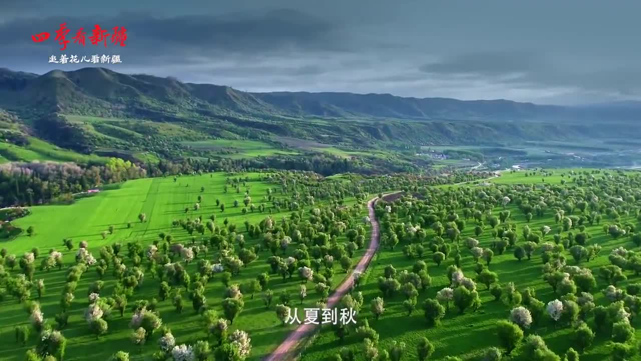 “四季看新疆”之“追着花儿看新疆”主题采访活动5月16日启动
