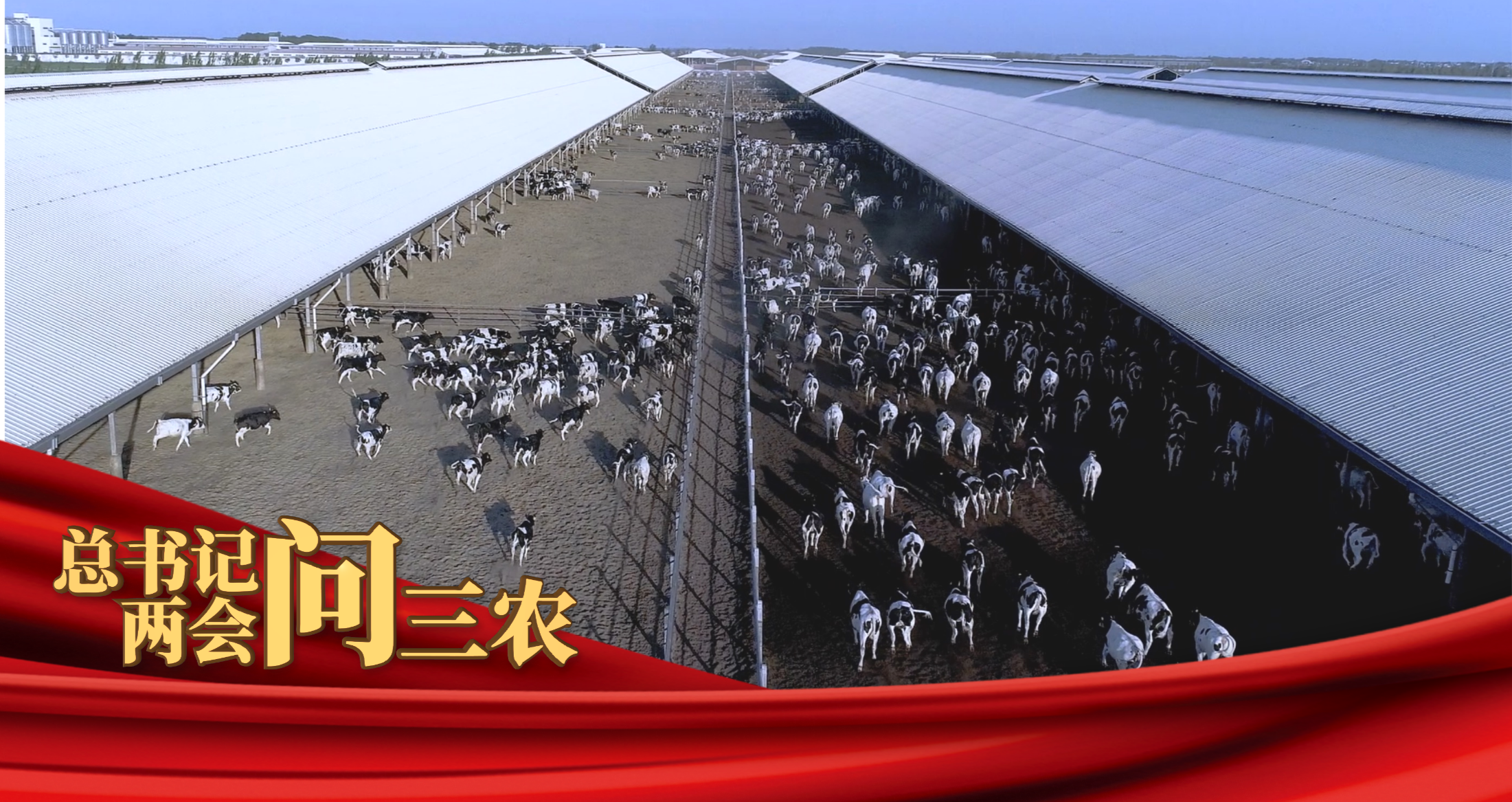总书记两会问三农③｜奶牛育种的“中国芯”