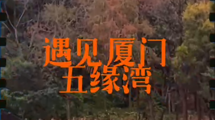 生态文明的厦门实践｜遇见厦门五缘湾