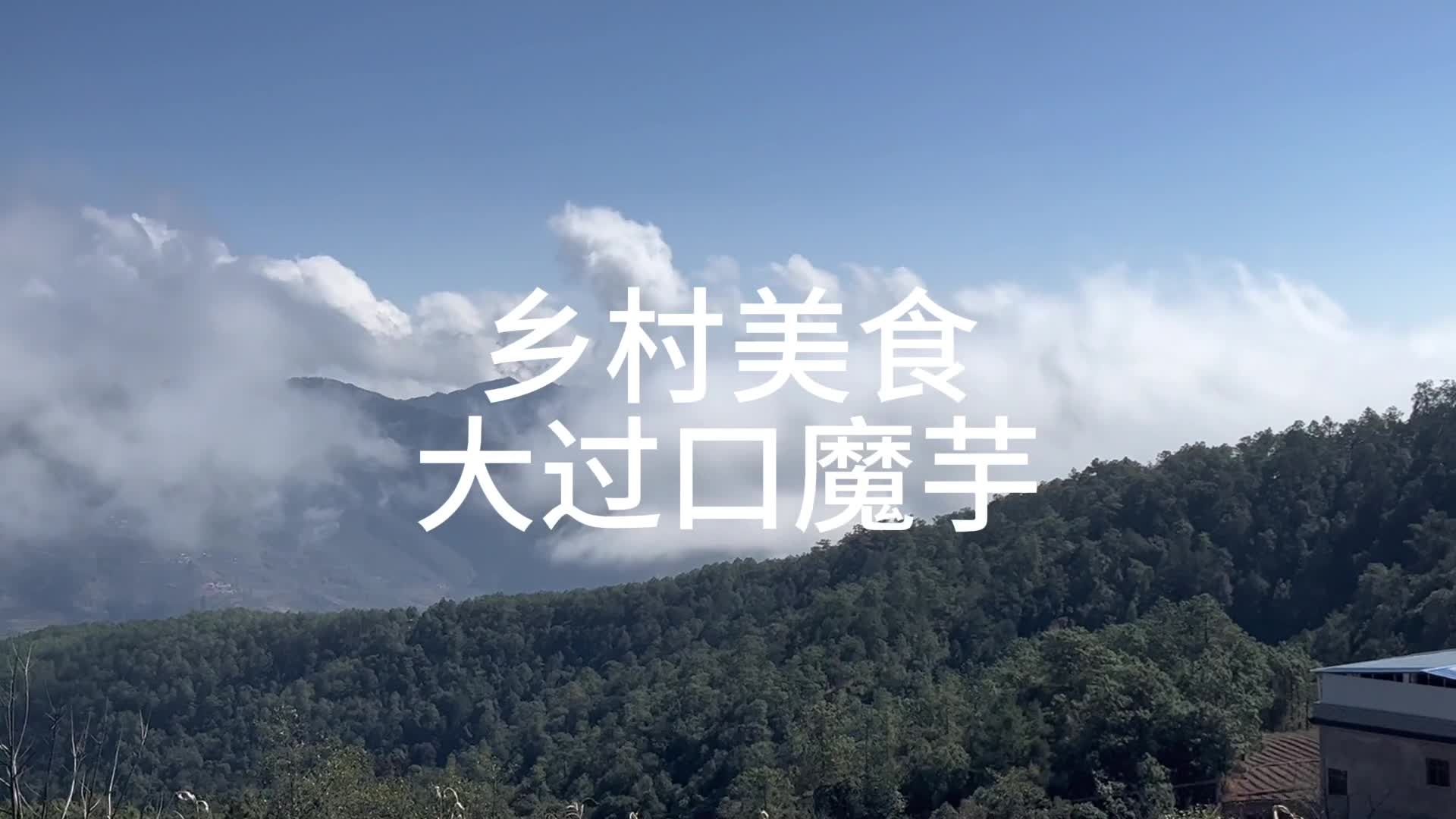 编号19《云南楚雄·大过口魔芋》