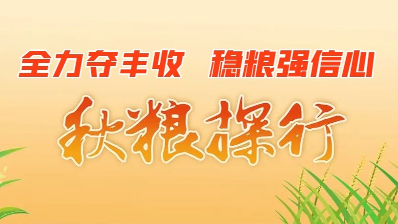 秋粮探行