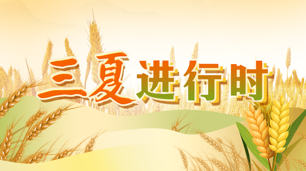 三夏进行时