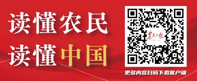 图标.jpg