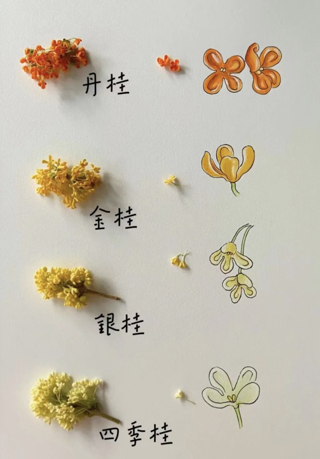 WX20241118-140111@2x.png